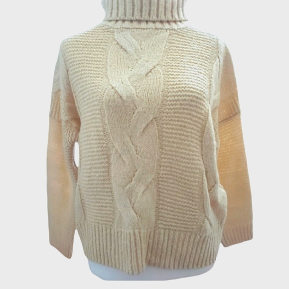 Elodie Sweaters - Turtleneck Sweater, Chunky Knit Sweater, Elodie Anthropologie, Color Ivory XS